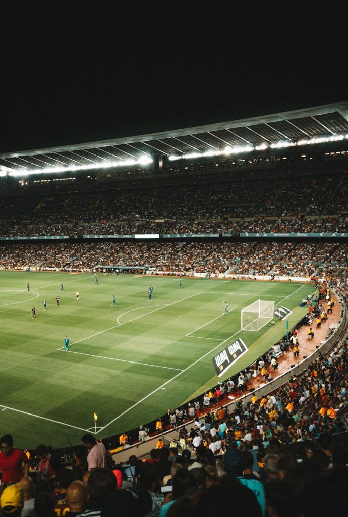 nacionalni stadion srbija